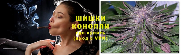 apvp Горнозаводск