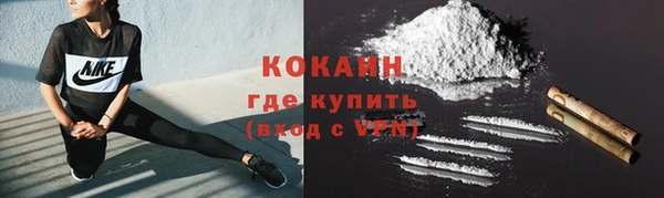 ECSTASY Горняк
