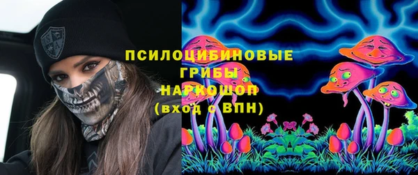ECSTASY Горняк