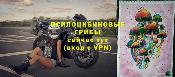 apvp Горнозаводск