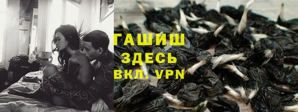 apvp Горнозаводск