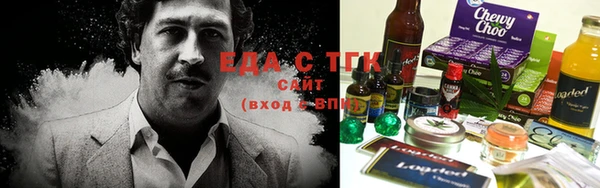 ECSTASY Горняк